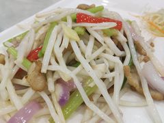 -姚林轩