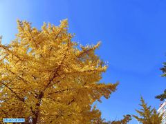 -辽东学院(南校区)