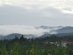 -中国大熊猫保护研究中心雅安碧峰峡基地