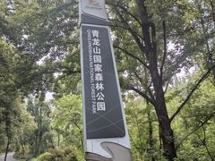 -青龙山国家森林公园
