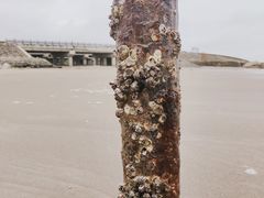 -南澳海滩