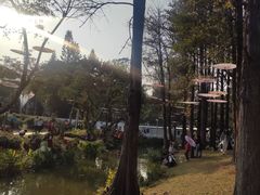 -人民公园(罗湖区)