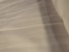 -苏州苏哥利酒店