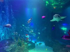 -沈阳海洋探索中心