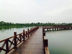 -南湖湿地公园