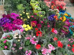 花草-顺鑫石门市场