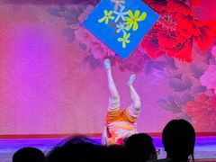 -盖碗儿梨园·变脸吐火·川剧(天府广场店)