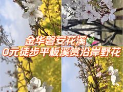 -花溪风景区