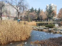 -木塔寺遗址生态公园