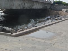 -日照灯塔风景区