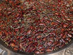 -雲蜀龙阁·金牌水煮鱼(方庄店)