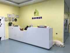 -瑞鹏宠物医院·爱宠堂·骨外专科(西荷分院)