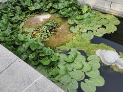 -临江宴(陆家嘴店)
