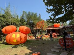 -HERRE·FARM 赫尔露营农场·团建聚会包场