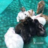 🐇去亲子萌宠农场放电啦！