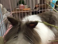 -藦茜花园宠物主题亲子互动体验馆(国顺东路店)