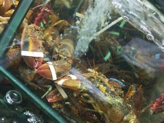 -琼大师东方烤乳猪(亚特兰蒂斯店)