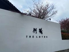 -几荷·恰似故人来(秀水广场店)