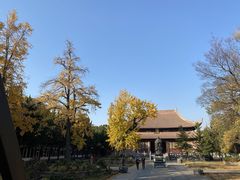 -苏州文庙(姑苏区)