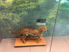 -下渚湖国家湿地公园科普馆