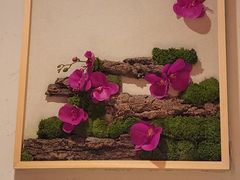 -鸽子窝(宋庄店)