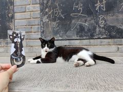 -西安碑林博物馆