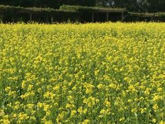 -长春公园(普阳街道)