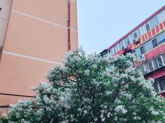 -四道口水产市场