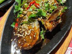 -寂寞的豆芽(西大望南路店)