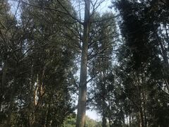 -福建鲤鱼洲酒店