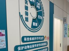-小伙伴宠物医院·CT·骨科·眼科(高新店)