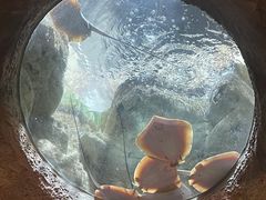 -珠海长隆海洋王国