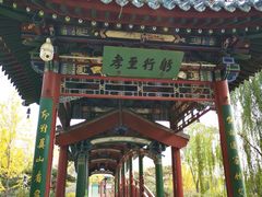 -迎泽公园