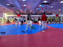 -陈中跆拳道(中关村馆)