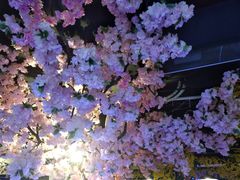 -特色酱椒鱼私房菜(黄鹤楼店)