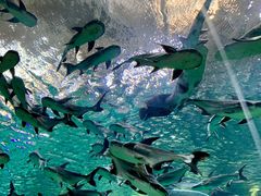 -波塞冬旅游度假区