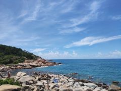 -广东惠东海龟国家级自然保护区