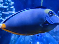 -成都浩海立方海洋公园