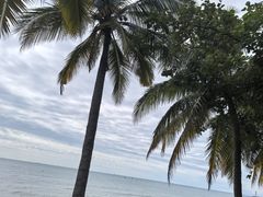 -三亚湾皇冠假日度假酒店·临风大堂酒廊