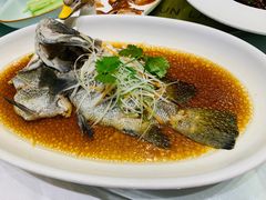 -骏莱海鲜鱼港(五角场店)
