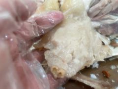 -吉英盐焗鸡(文中路店)