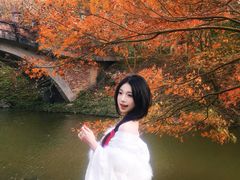 -田野绿世界