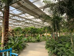 -南宫五洲植物乐园