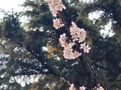 -西安电影制片厂