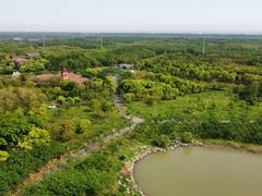 -上海海湾国家森林公园