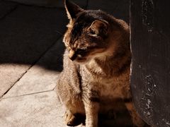 -吴祥记潮州菜·百年老字号·砂锅粥