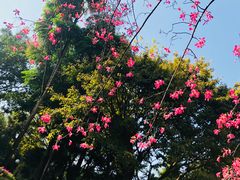-晓港公园