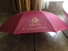 -丰顺宝丰酒店温泉