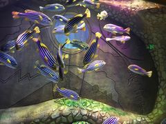 -亚龙湾海底世界