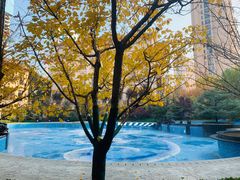 -太原星河湾酒店